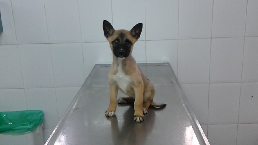 20150422 092709 8 1 1024 500